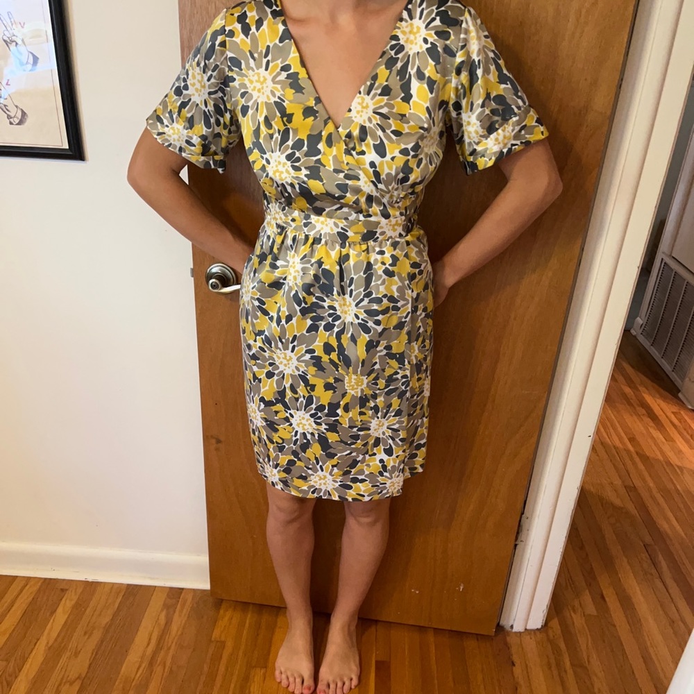 Banana republic dress